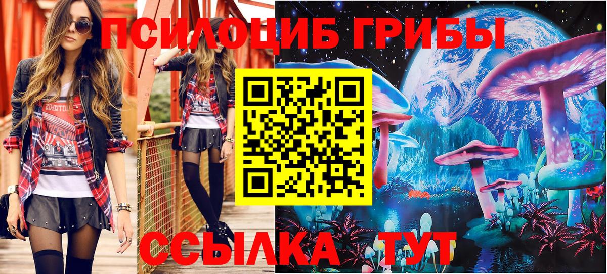 Псилоцибиновые грибы Psilocybe Благовещенск