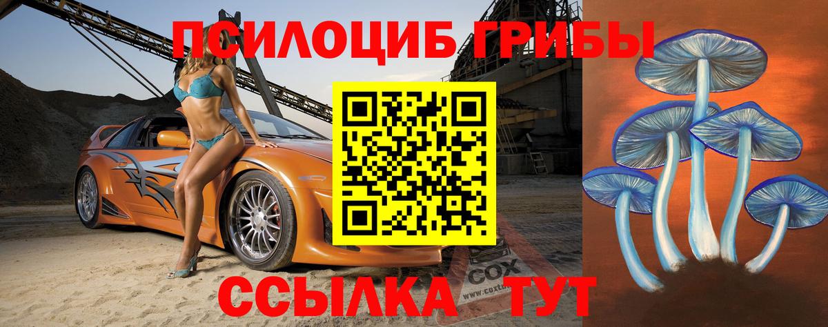 где продают   Вход с VPN  Благовещенск  Псилоцибиновые грибы мицелий 